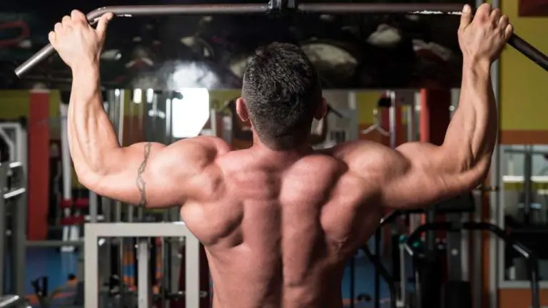 5 Powerful Back Workouts for Ultimate Muscle Strength